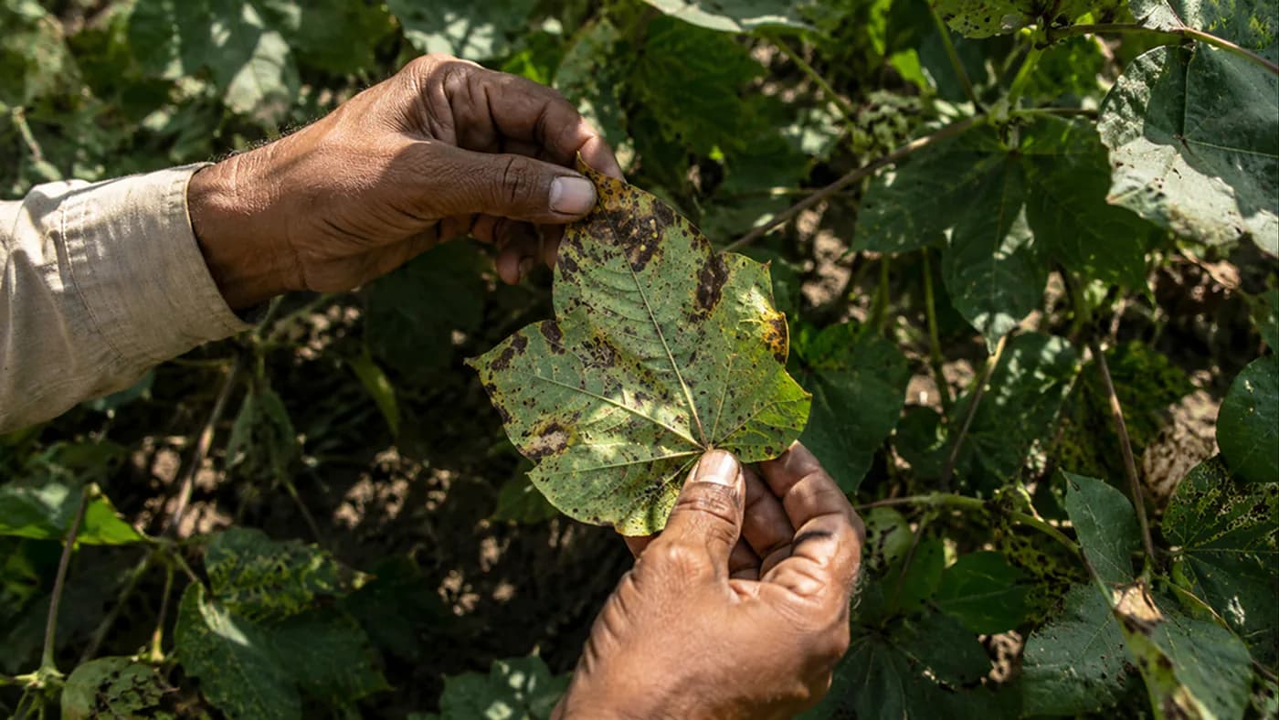 Do AI Farming Apps Actually Work? An Honest Assessment
